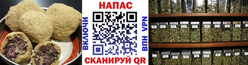 Cannafood конопля  Купить где  Гусев 