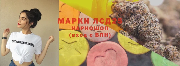 стафф Каменка