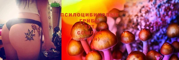 a pvp Каменногорск