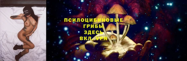 mix Касимов