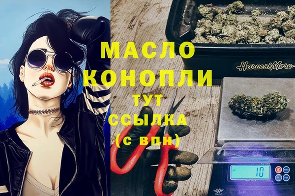 стафф Каменка