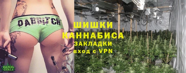 стафф Каменка