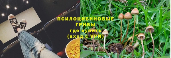 a pvp Каменногорск