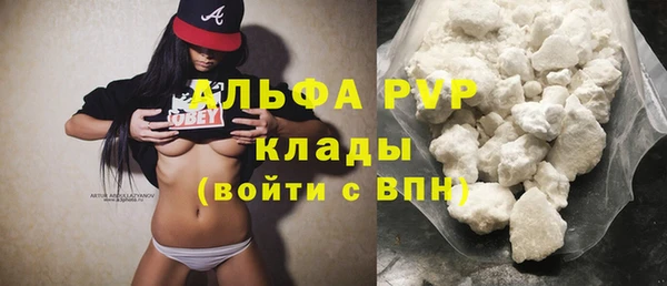 стафф Каменка