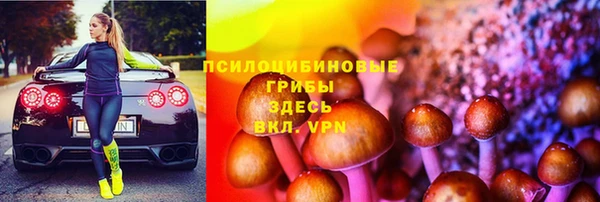 мяу мяу мука Карпинск