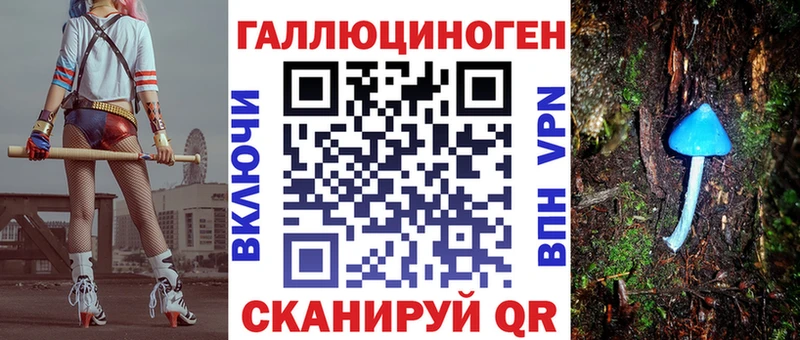 Галлюциногенные грибы Psilocybe  Купить где  Гусев 