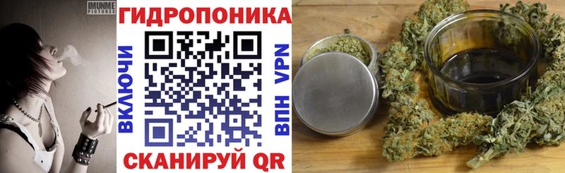 Конопля OG Kush  Купить закладки  Гусев 